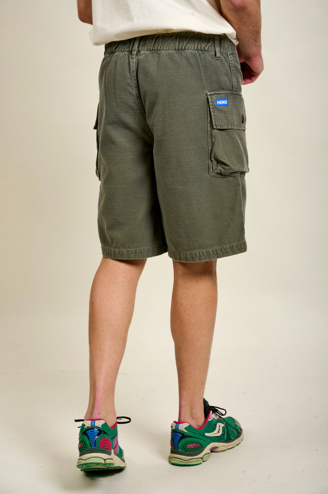 SHORT CLOTAIRE - SAGE GREEN